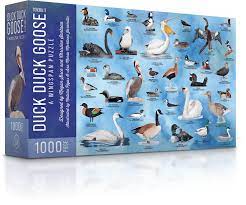 Duck Duck Goose — 1000 piece