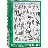 Birds of Prey and Owls — 1000 piece